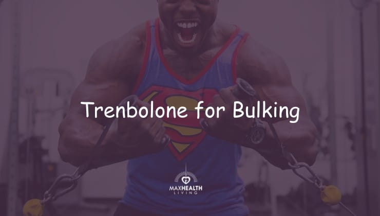 Tren for Bulking: Does it Help? (Updated)