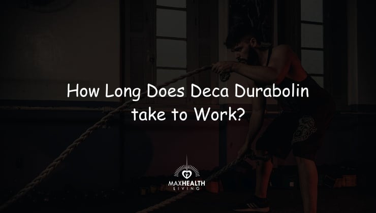 How Long Does Deca Durabolin Take to Work? (Updated)