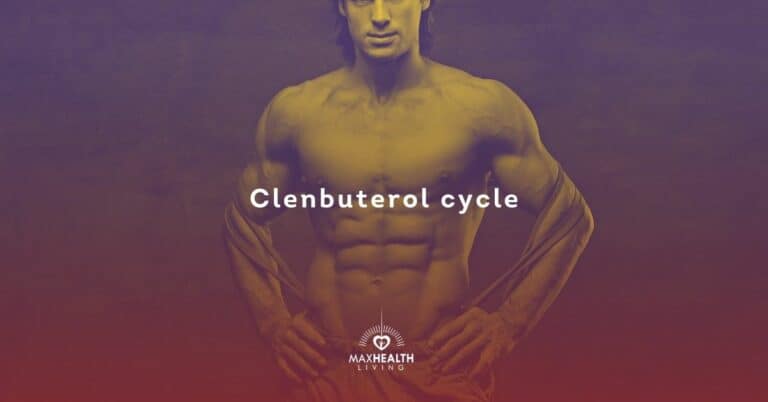Clenbuterol cycle