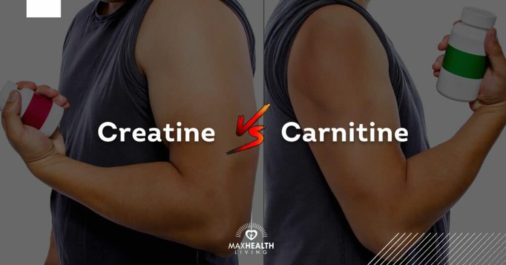 Creatine vs carnitine